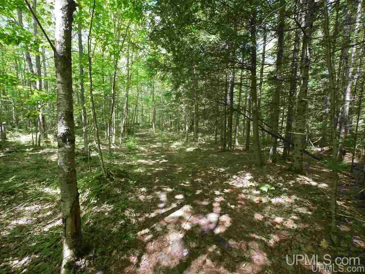 35345 Timonen Road Chassell, MI 49916 - Photo 33 of 44 Gallery Image 33