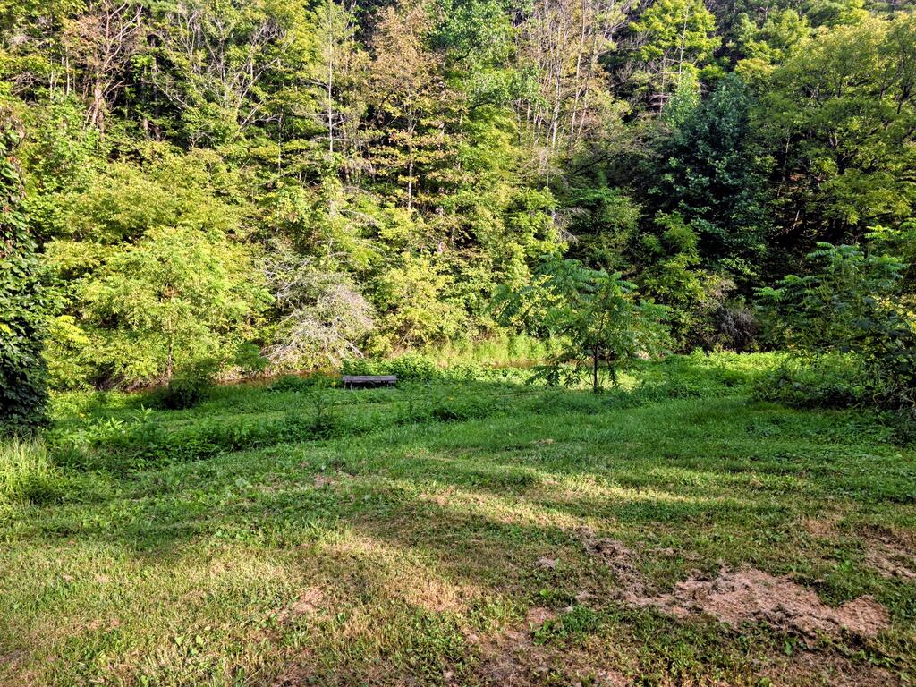 6048 Clearfork Road Bastian, VA 24314 - Photo 24 of 25 Gallery Image 24