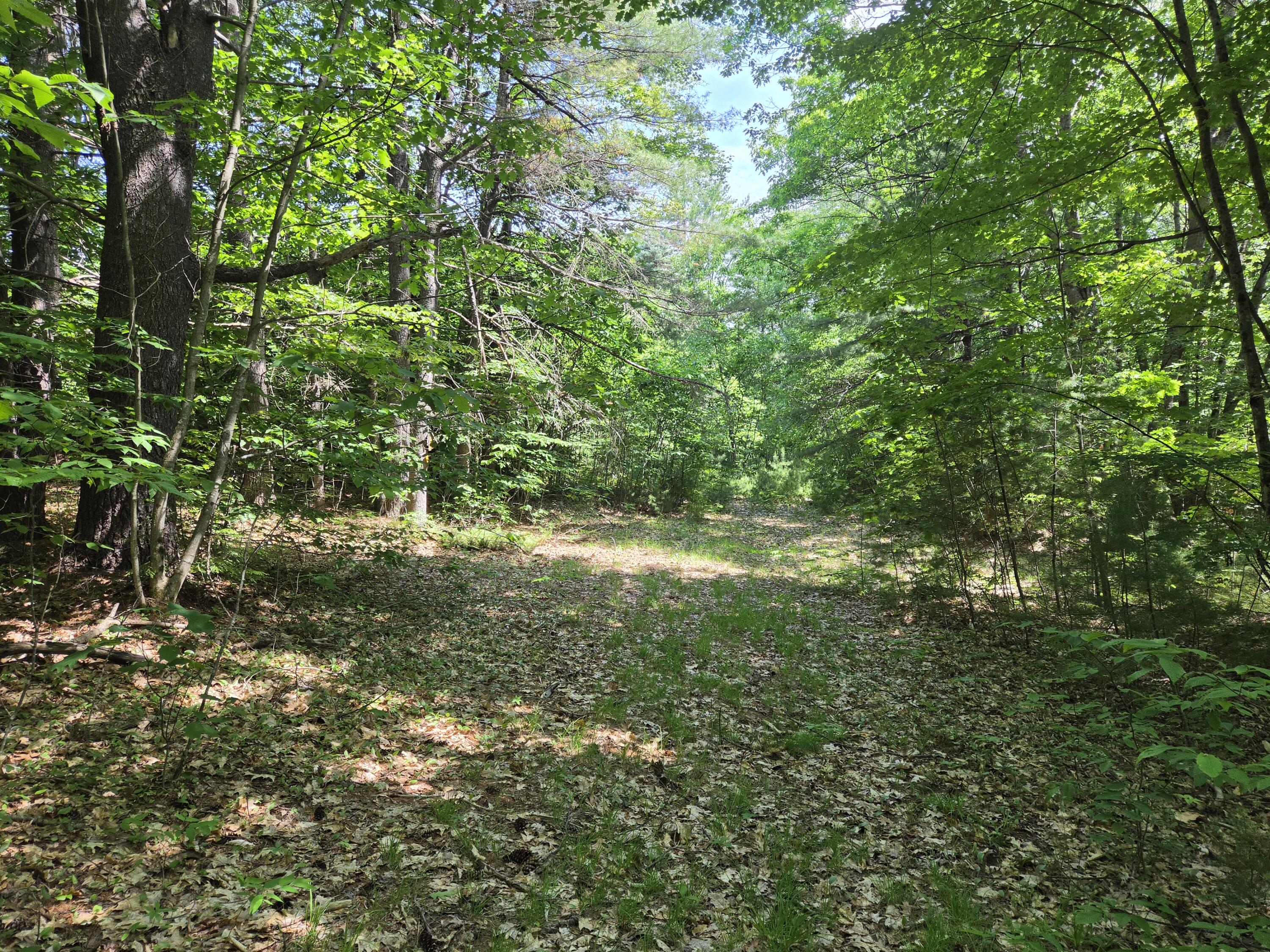 0 Quarry Street Jay, ME 04239 - Photo 5 of 10