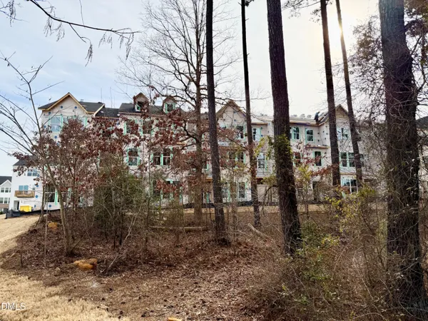 a view of a yard