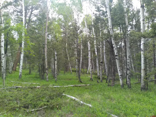 $42,000 | 525 Crest Drive, Cimarron, CO 81220