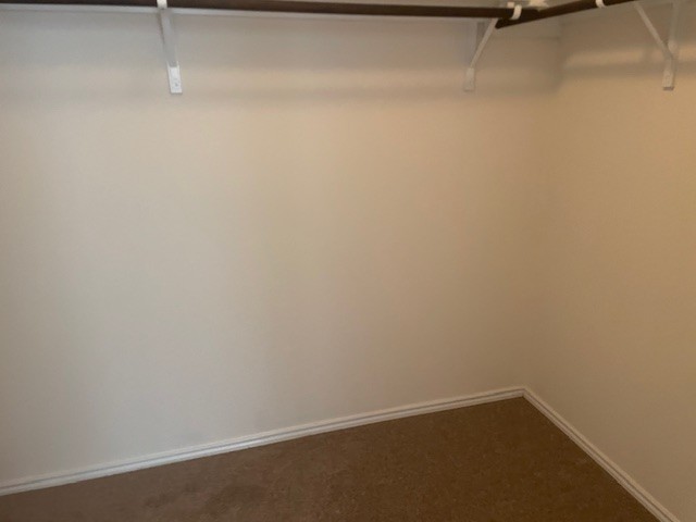 10201 Gertrudis Loop Austin, TX 78747 - Photo 19 of 24 Ample closet space with practical shelving awaits your wardrobe organization.
