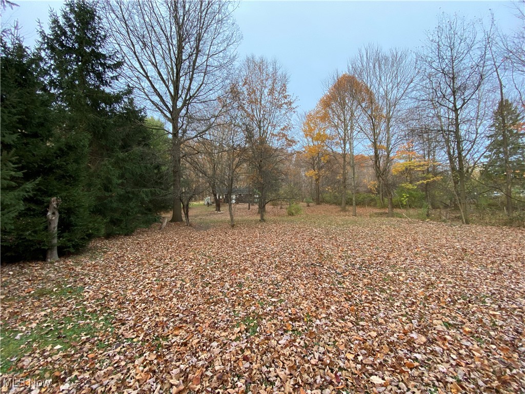 8964 Martin Road Willoughby, OH 44094 - Photo 12 of 21 Gallery Image 12