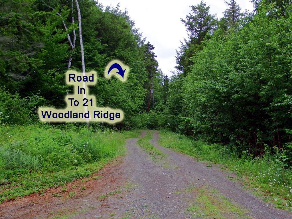 21 Woodland Ridge Road Danforth, ME 04424 - Photo 4 of 35 Photo