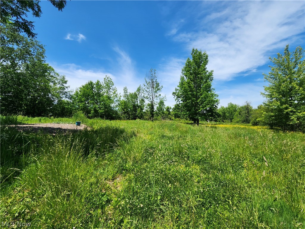 14161 Painesville Warren Road Painesville, OH 44077 - Photo 3 of 4