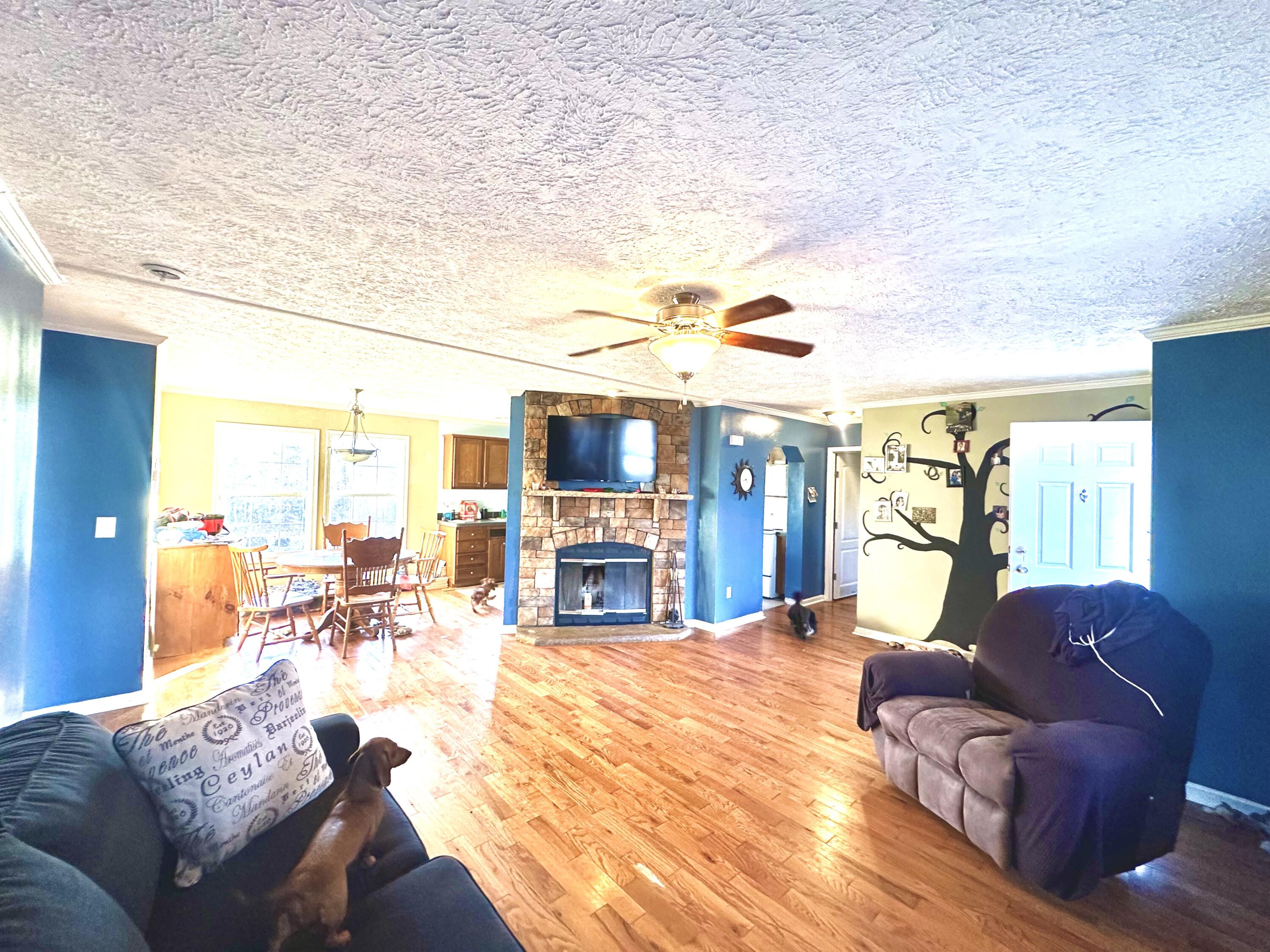 1209 Daniels Road Trenton, GA 30752 - Photo 4 of 14 IMG_0567