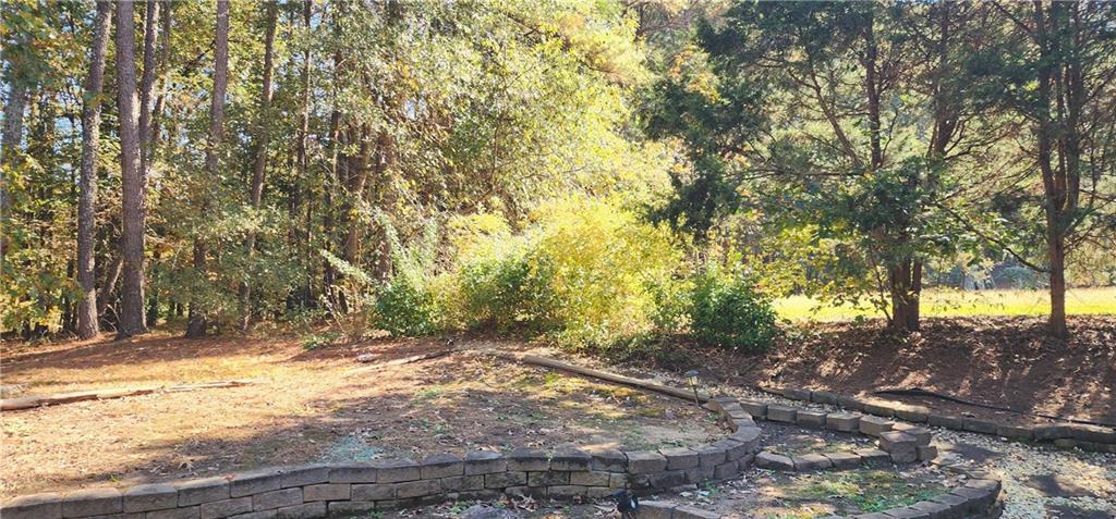 211 Brooks Lane Winder, GA 30680 - Photo 20 of 27 a view of road and trees