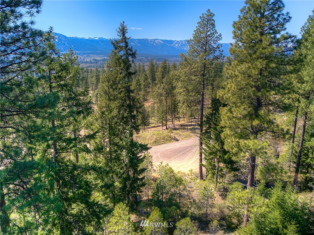 150 Game Trail Road Cle Elum, WA 98922 - Photo 2 of 8 Gallery Image 2