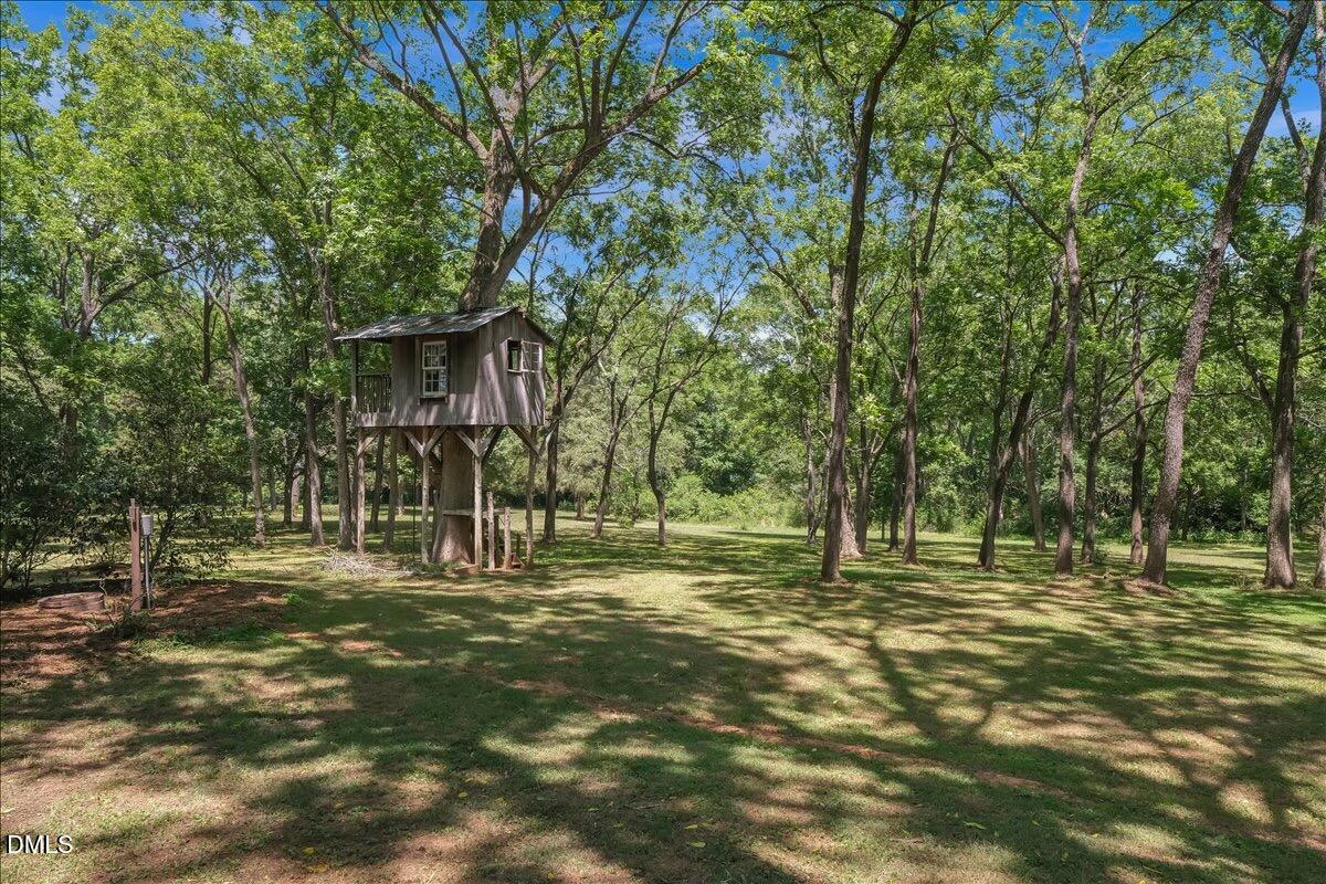 6720 Mebane Oaks Road Mebane, NC 27302 - Photo 44 of 56