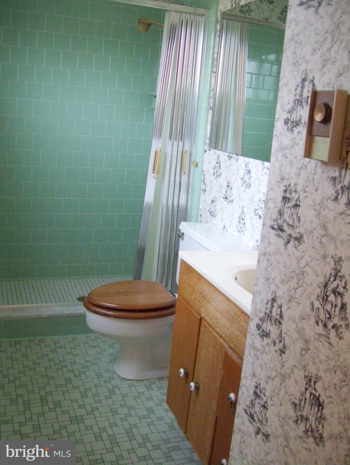 4626 Deer Spring Road Middletown, MD 21769 - Photo 14 of 30 Bath (Master)