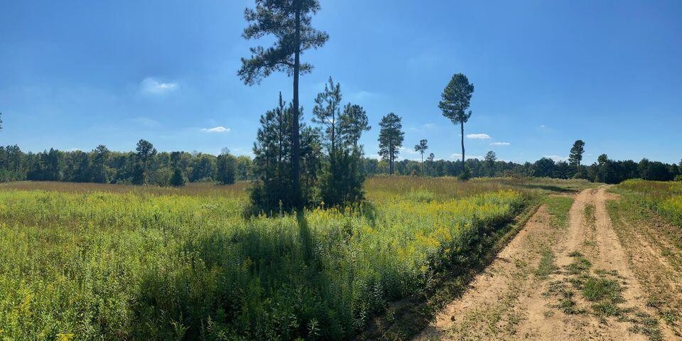 13 Athens Road Delano, TN 37325 - Photo 15 of 20