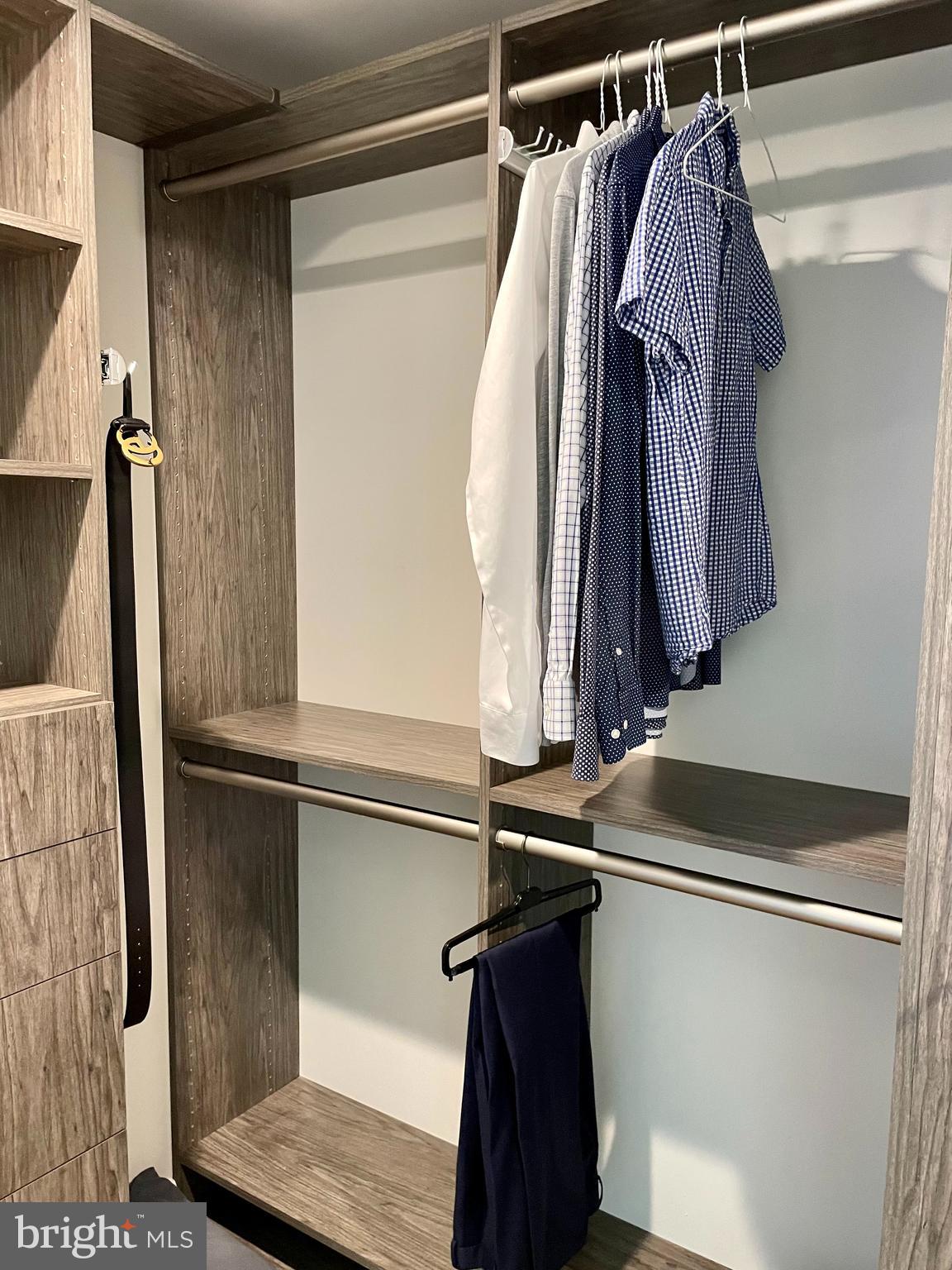 2011 Renaissance Walk, Unit 13 Philadelphia, PA 19145 - Photo 42 of 52 Large custom closets - double on 4th floor