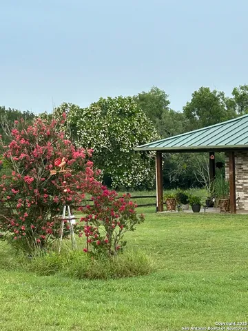 a view of a field with large trees