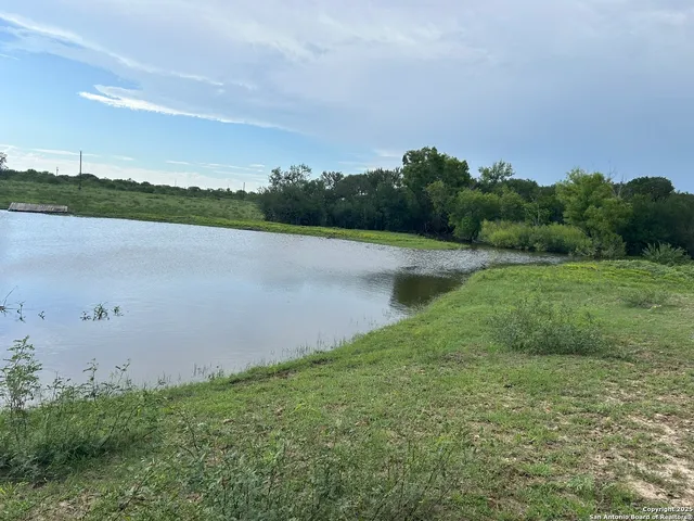 a view of field with trees in the background