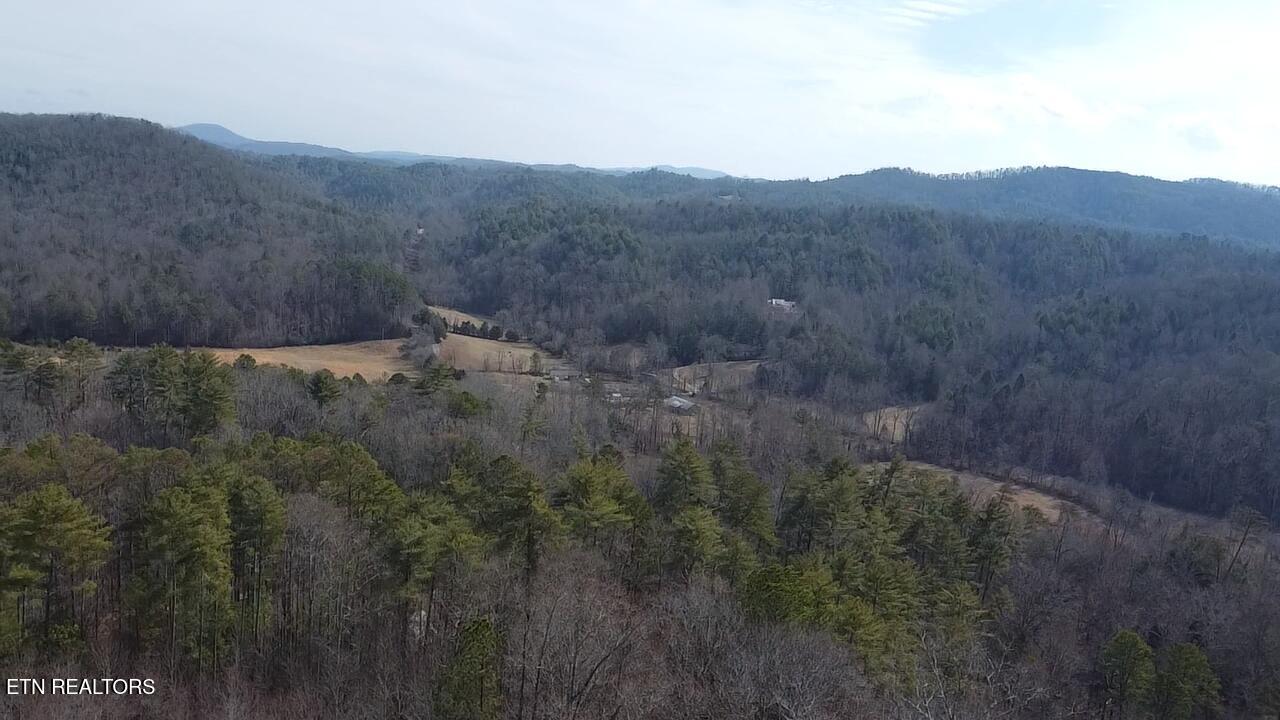 239 Towee Pike Reliance, TN 37369 - Photo 14 of 28 2026-02-10-12-44-29-692 - Copy