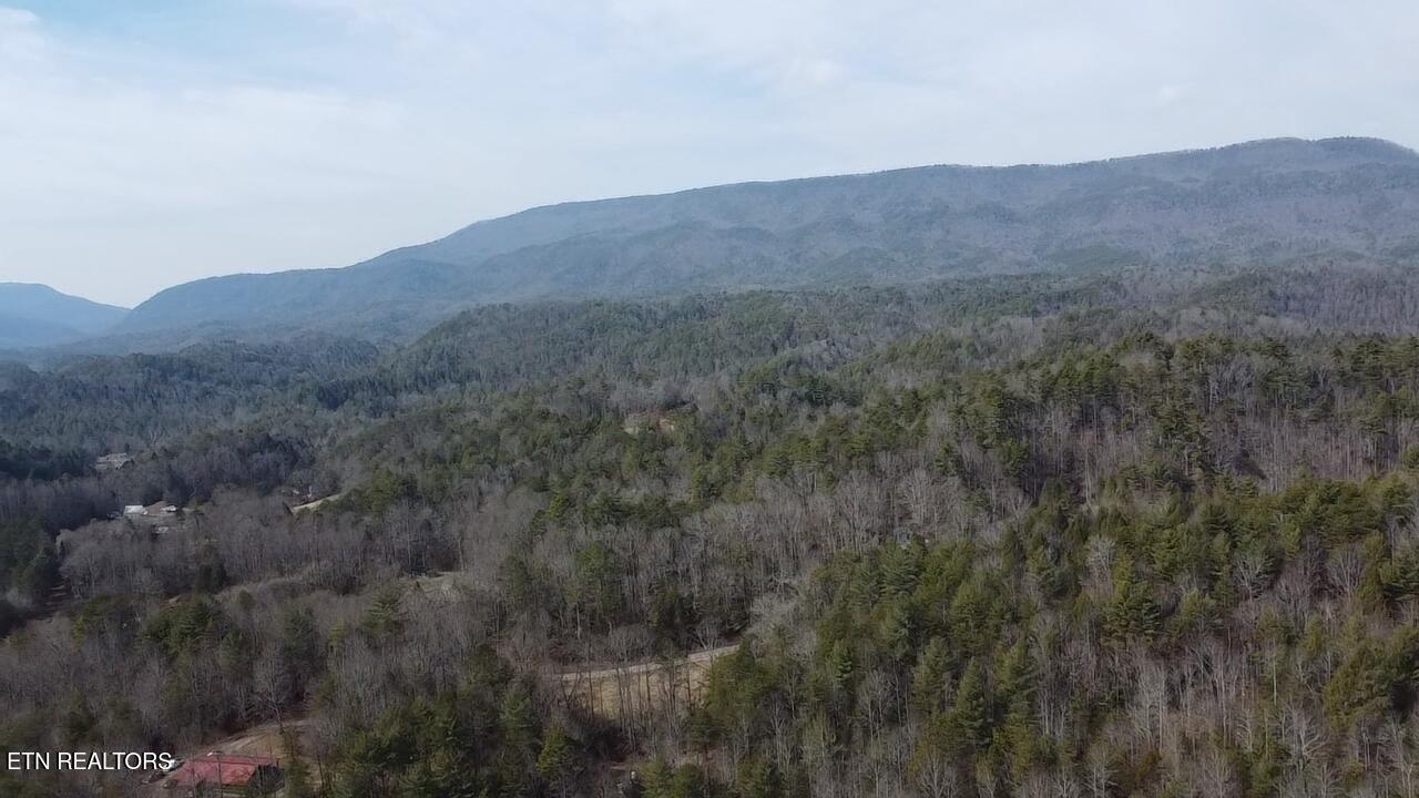 239 Towee Pike Reliance, TN 37369 - Photo 16 of 28 2026-02-10-12-44-58-676