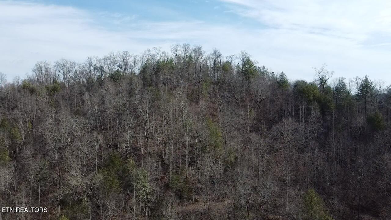 239 Towee Pike Reliance, TN 37369 - Photo 19 of 28 2026-02-10-12-46-07-443