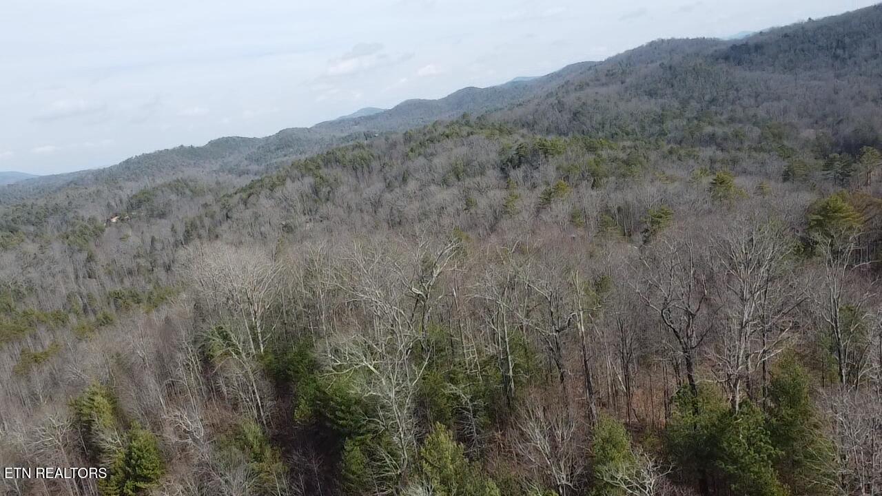 239 Towee Pike Reliance, TN 37369 - Photo 21 of 24 2026-02-10-12-45-04-395