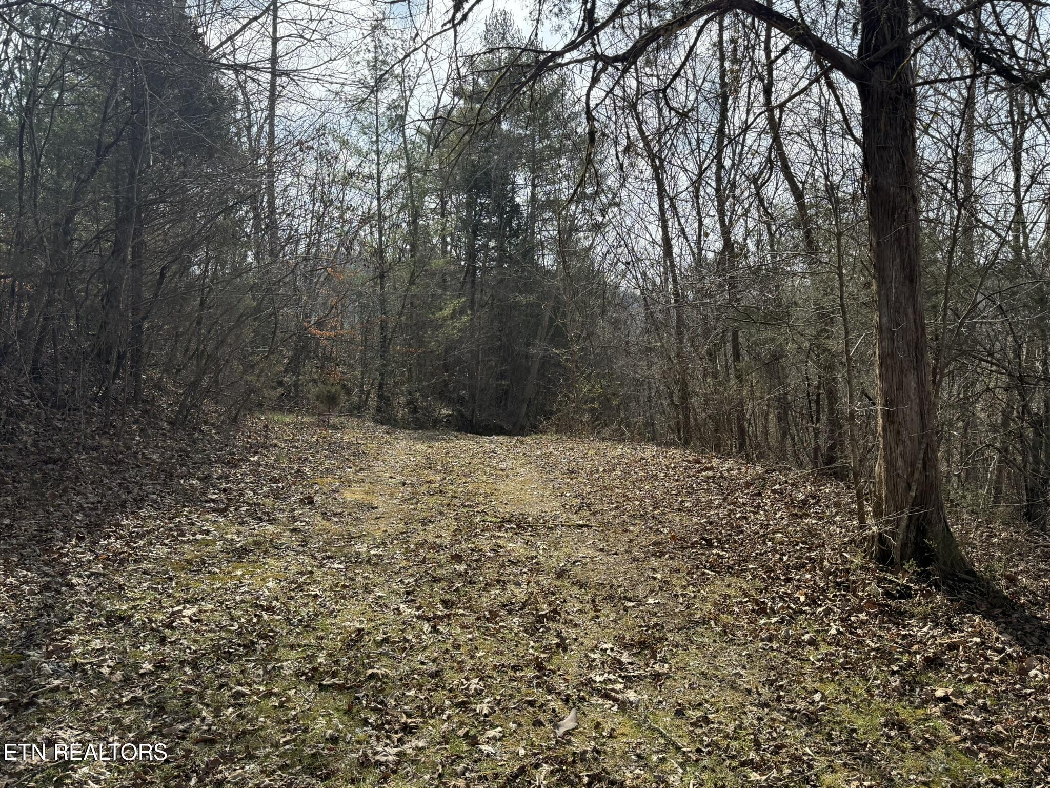 239 Towee Pike Reliance, TN 37369 - Photo 24 of 28 IMG_2437