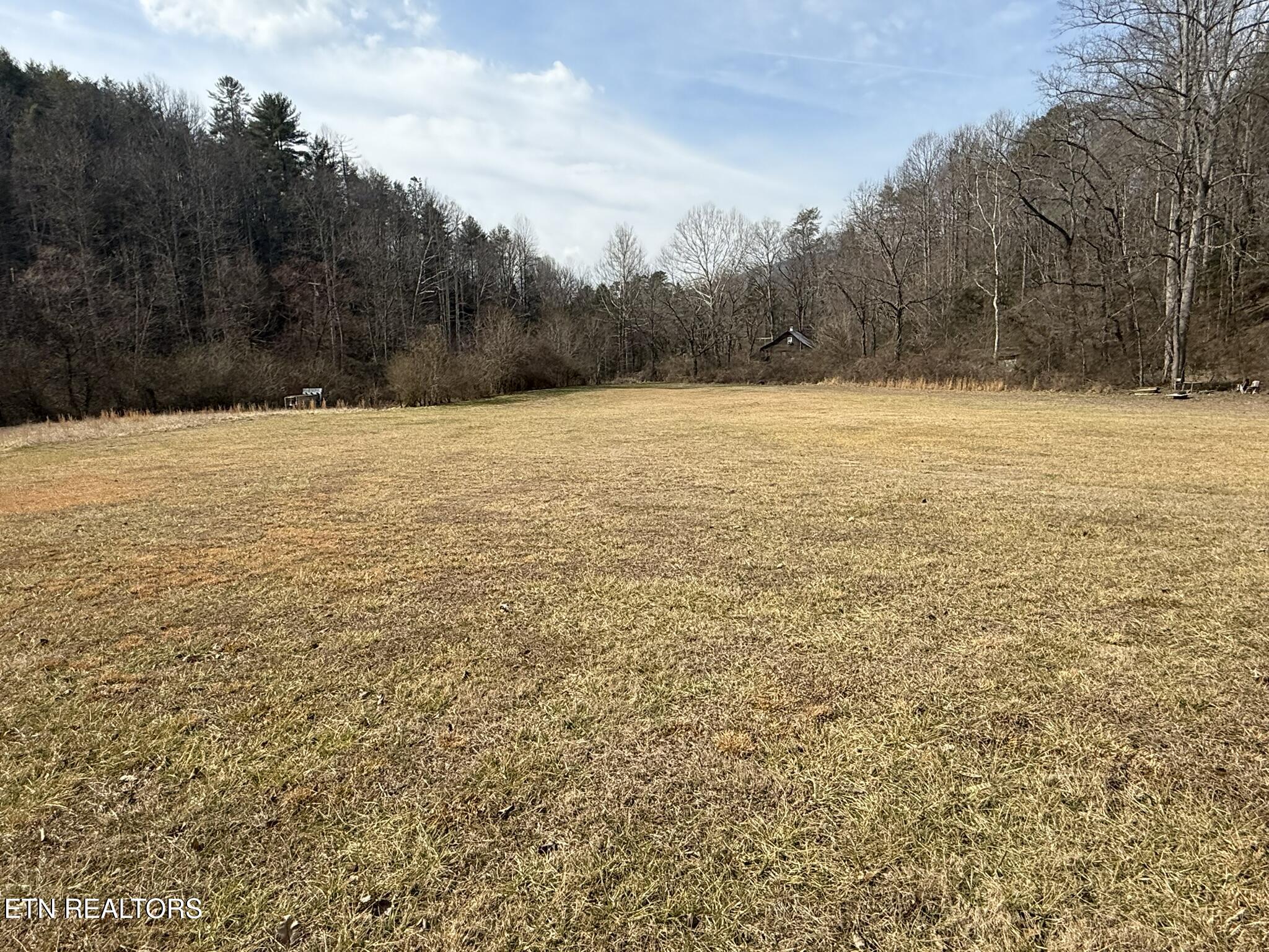 239 Towee Pike Reliance, TN 37369 - Photo 25 of 28 IMG_2425