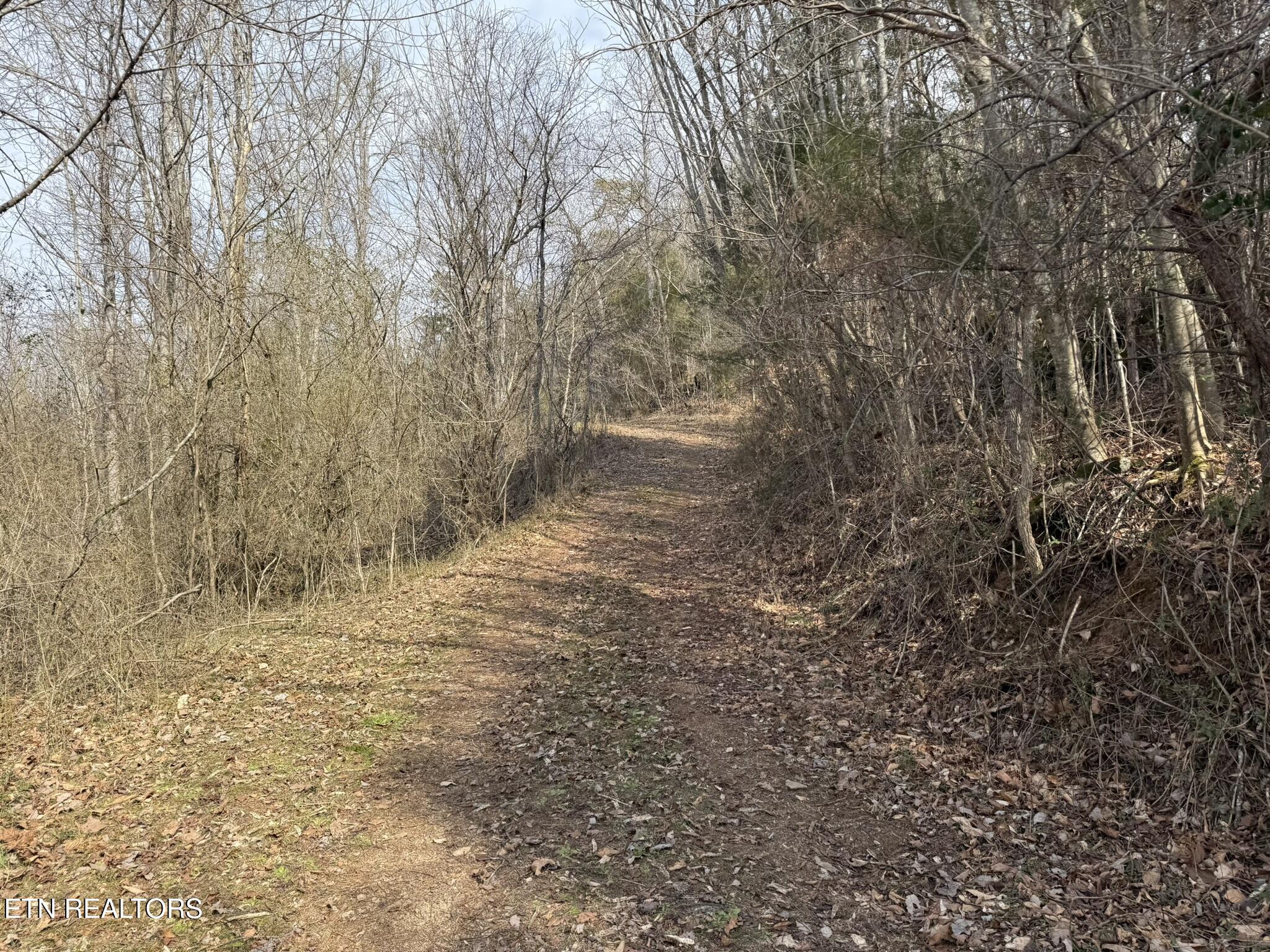 239 Towee Pike Reliance, TN 37369 - Photo 28 of 28 IMG_2431