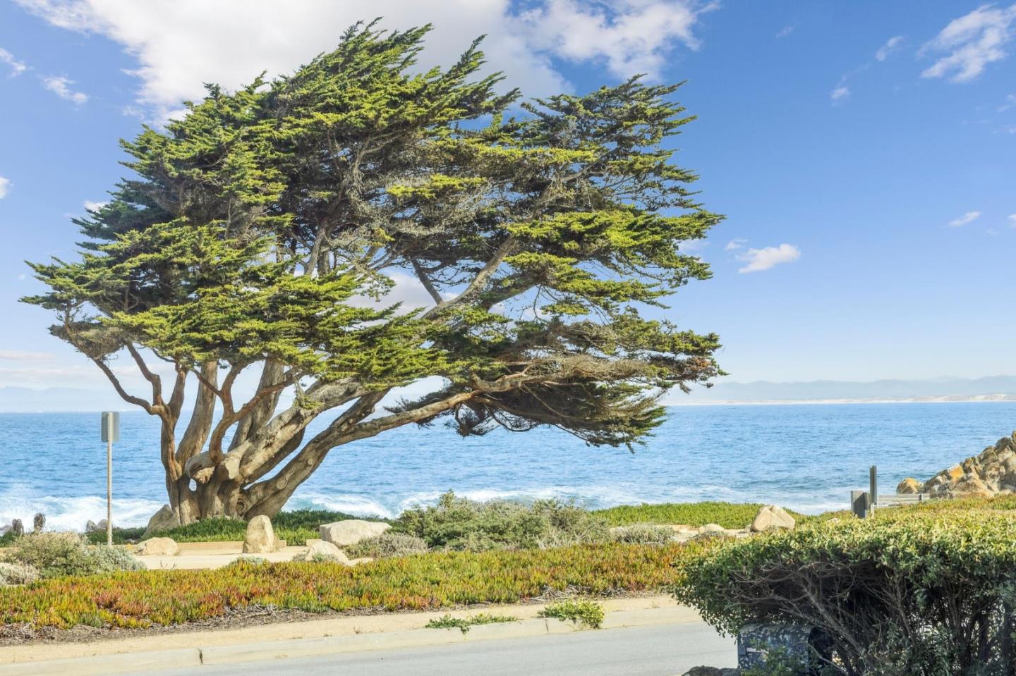 1261 Ocean View Boulevard Pacific Grove, CA 93950 - Photo 12 of 37 a view of a yard with an outdoor space