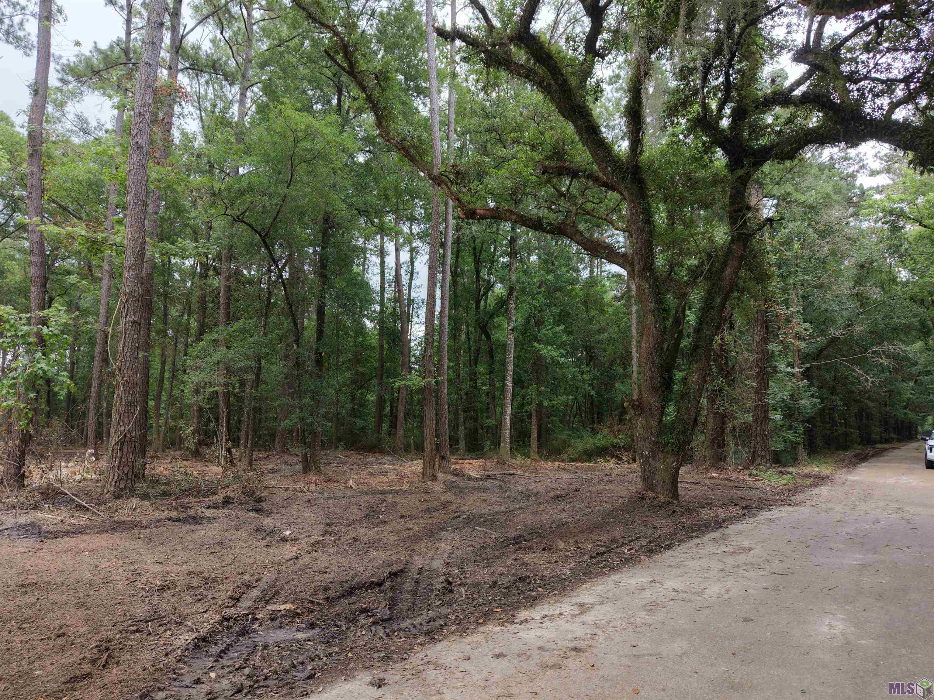 Tract C Esterbrook Road Ponchatoula, LA 70454 - Photo 2 of 13