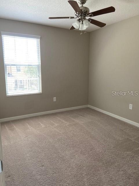 6959 Towne Lake Road Riverview, FL 33578 - Photo 11 of 26