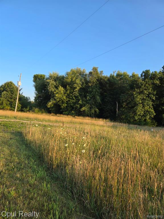 7503 Reading Road East Pittsford, MI 49271 - Photo 51 of 53 Gallery Image 51