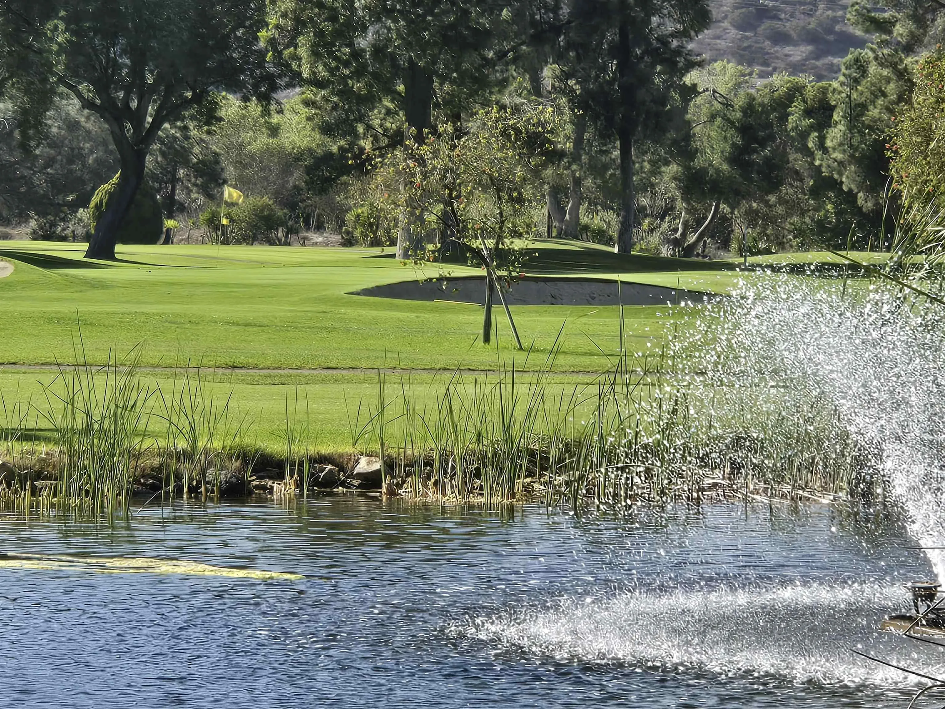 4650 Dulin Road, Unit 162 Fallbrook, CA 92003 - Photo 35 of 36 a view of a park