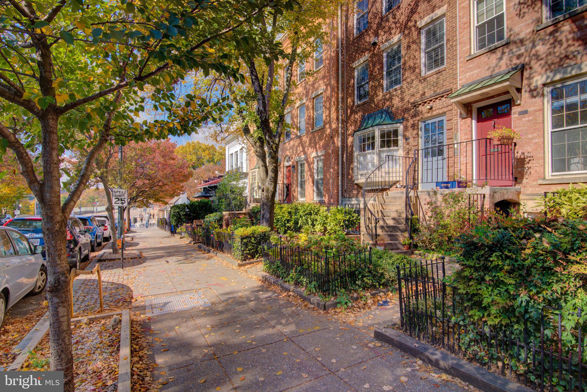 1953 Calvert Street Northwest, Unit D Washington, DC 20009 - Photo 4 of 27 a view of a street with plants and trees