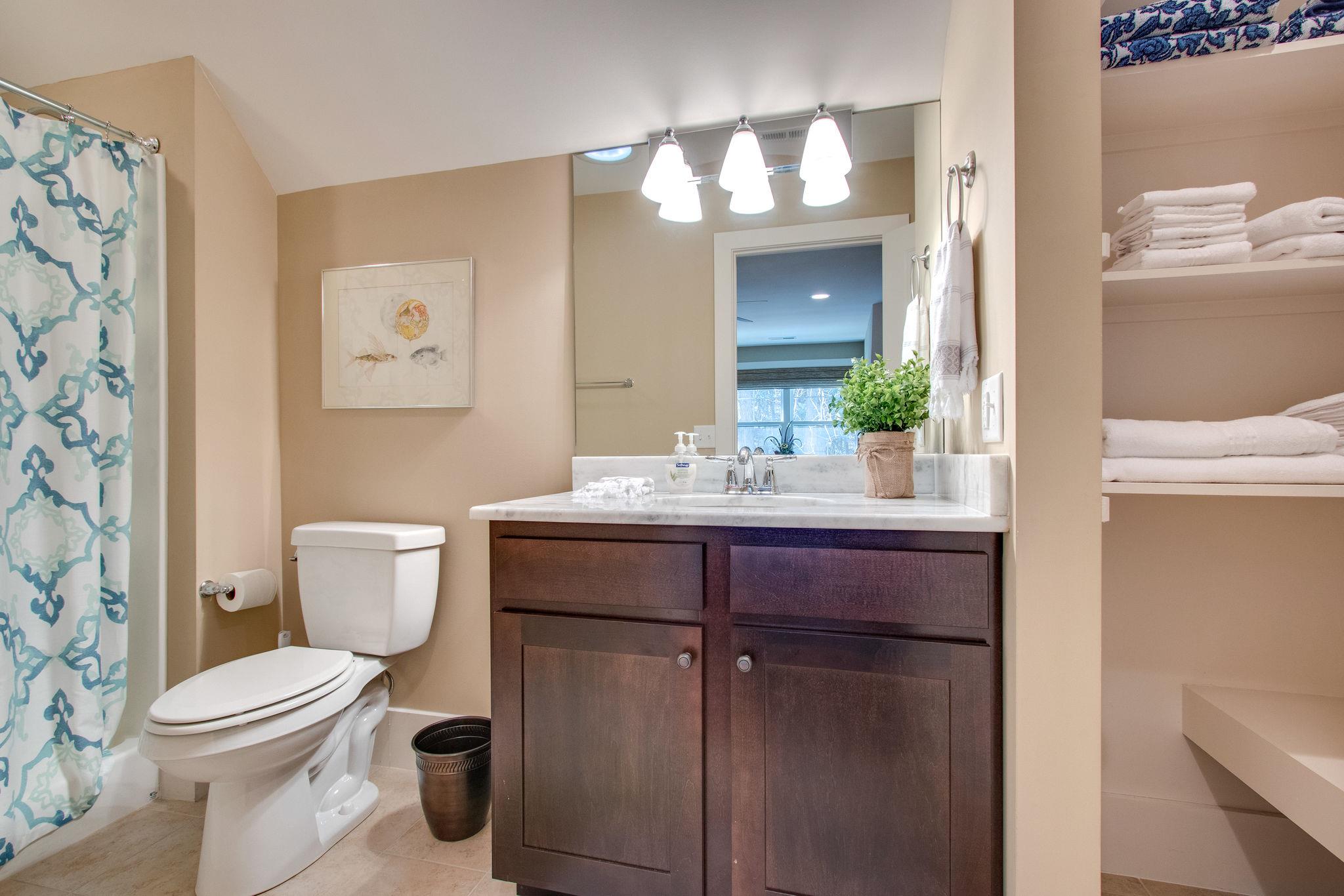 750 Floating Mill Village Road Silver Point, TN 38582 - Photo 19 of 30 a bathroom with a sink vanity mirror and toilet