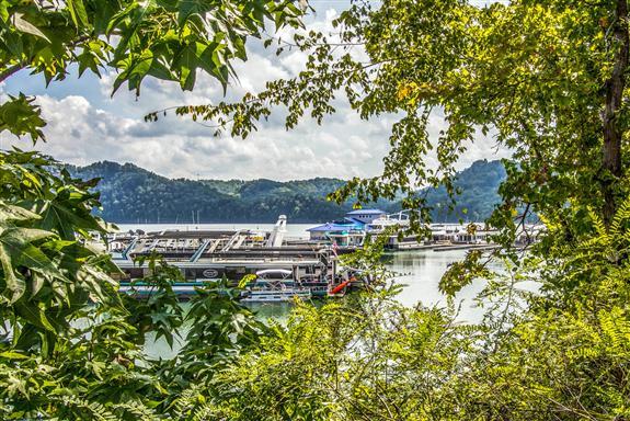 750 Floating Mill Village Road Silver Point, TN 38582 - Photo 29 of 30 a view of a yard with plants and large trees