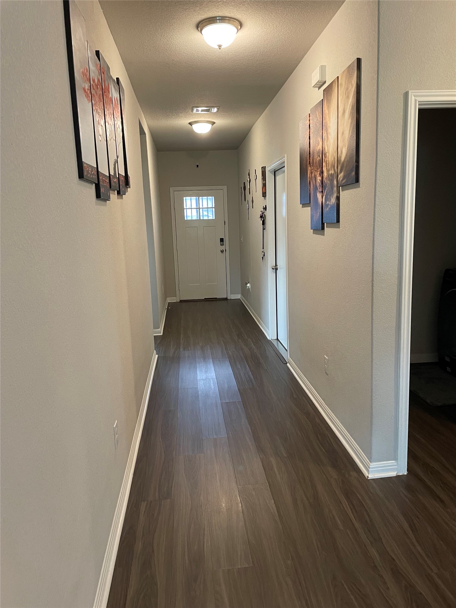 317 Bremen Street Georgetown, TX 78626 - Photo 16 of 19 a view of hallway with wooden floor
