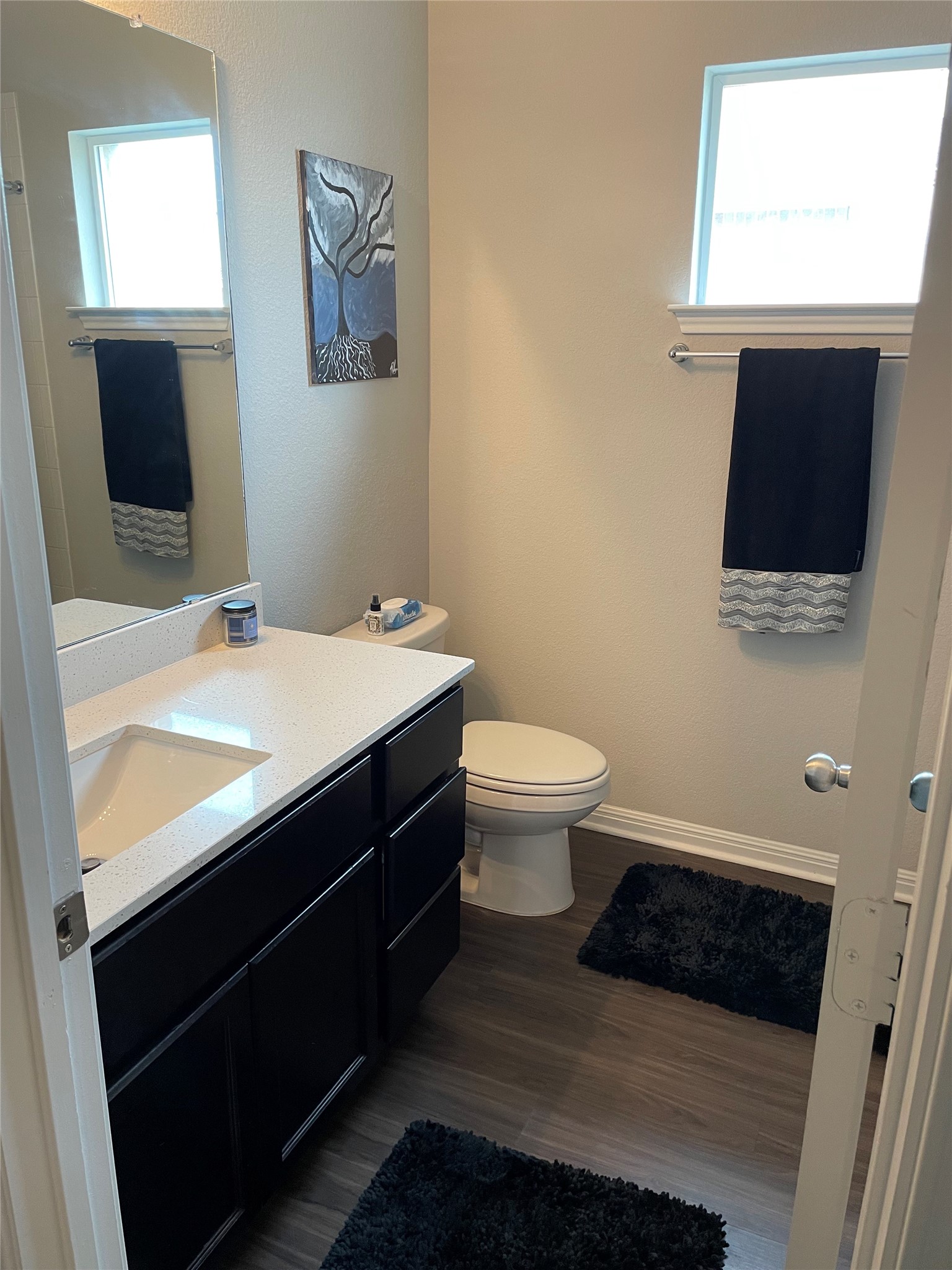 317 Bremen Street Georgetown, TX 78626 - Photo 9 of 19 a bathroom with a sink toilet a mirror and vanity
