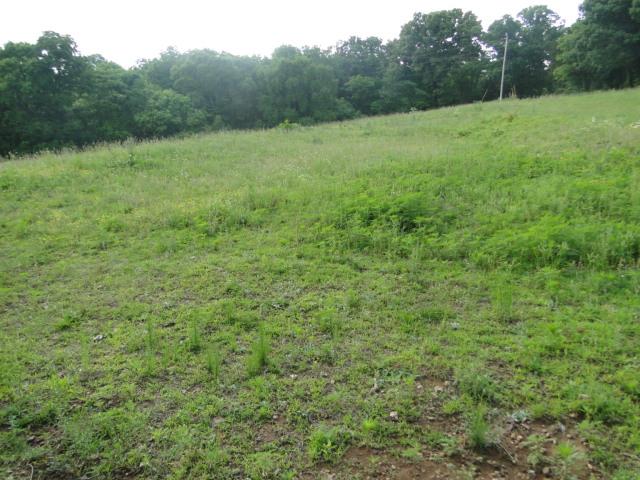 456 Cathey Road Wartrace, TN 37183 - Photo 13 of 19 some of the pasture land that is fenced & crossed fenced.