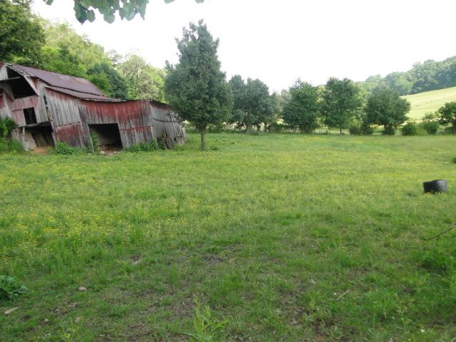 456 Cathey Road Wartrace, TN 37183 - Photo 14 of 19 Pasture & old barn.