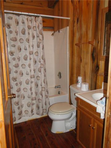 456 Cathey Road Wartrace, TN 37183 - Photo 7 of 19 Upstairs bath.