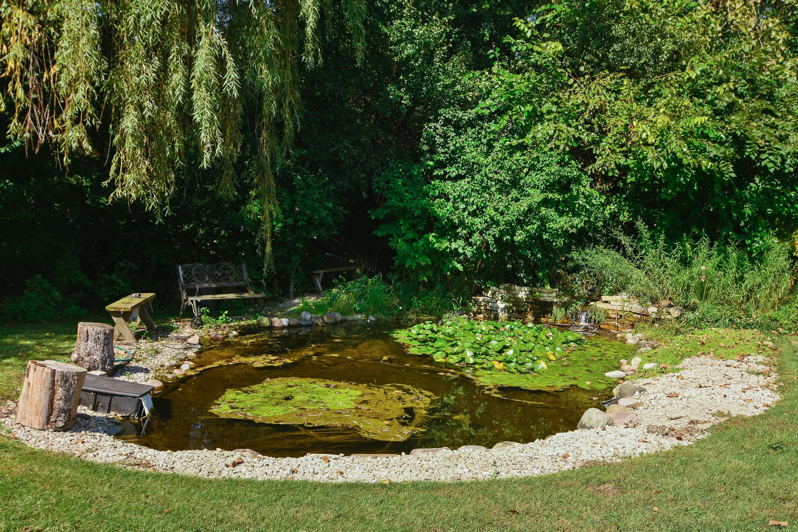 593 Scots Court Inverness, IL 60067 - Photo 4 of 15 a view of a garden with a fountain