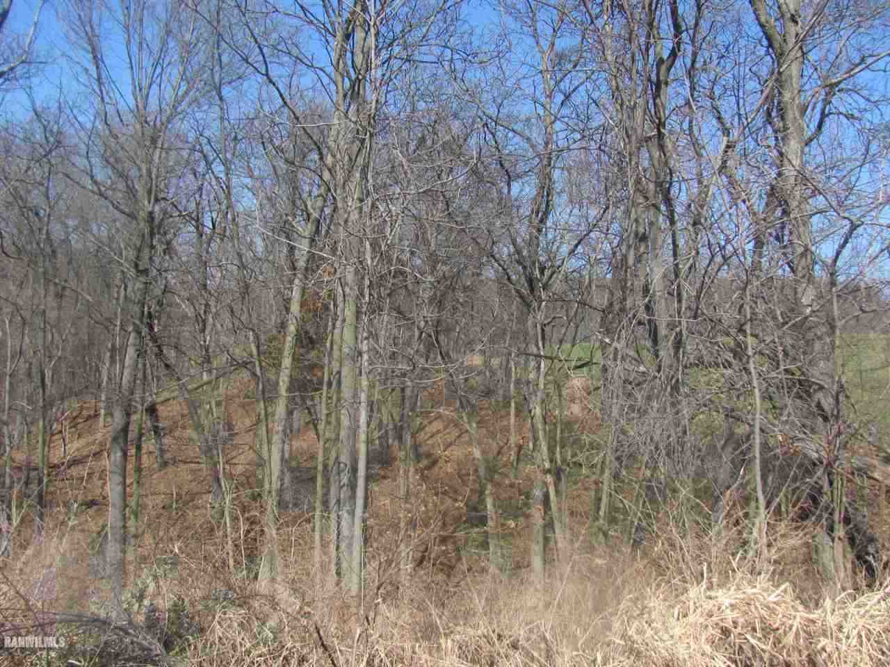 11764 East Charles Road Mount Carroll, IL 61053 - Photo 14 of 21 Gallery Image 14