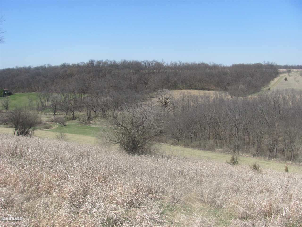11764 East Charles Road Mount Carroll, IL 61053 - Photo 4 of 21 Gallery Image 4