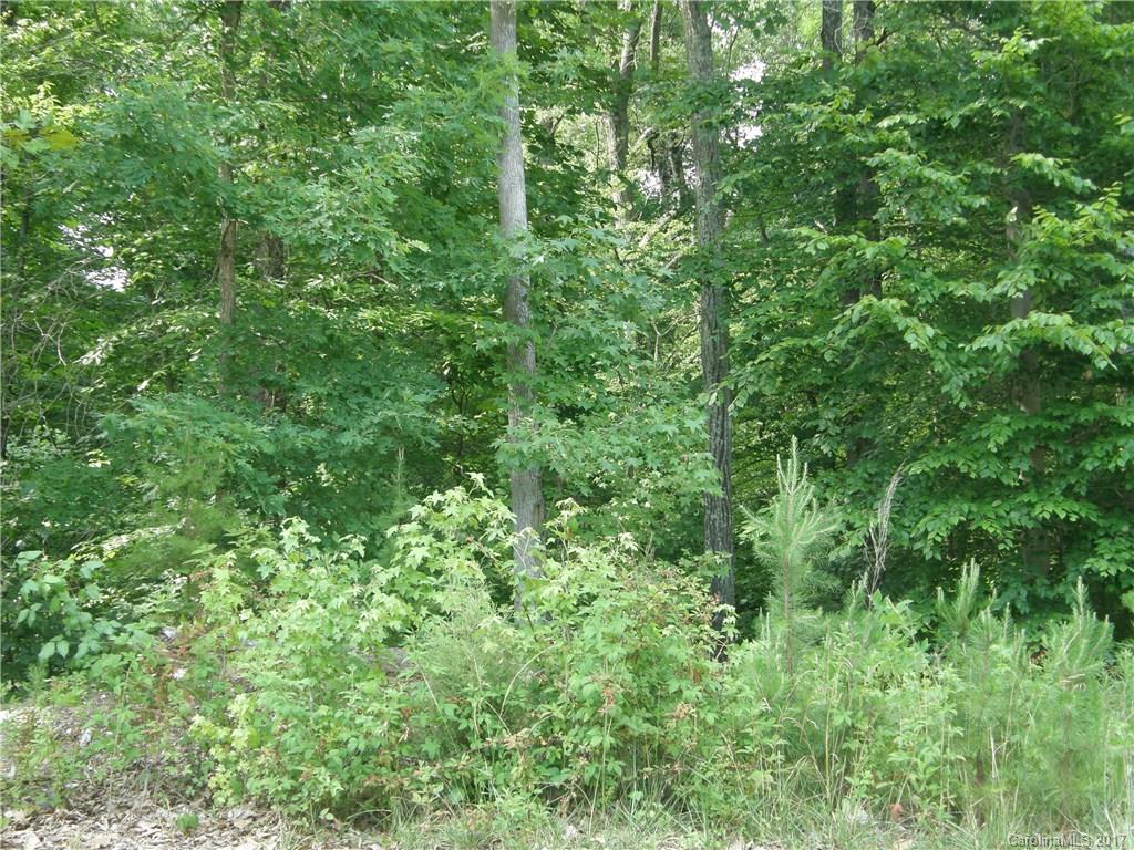 305 Stone Ridge Drive, Unit 4 Salisbury, NC 28146 - Photo 4 of 4 Gallery Image 4