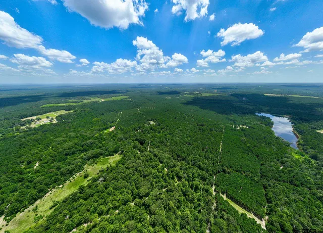 a view of a big yard with lots of green space