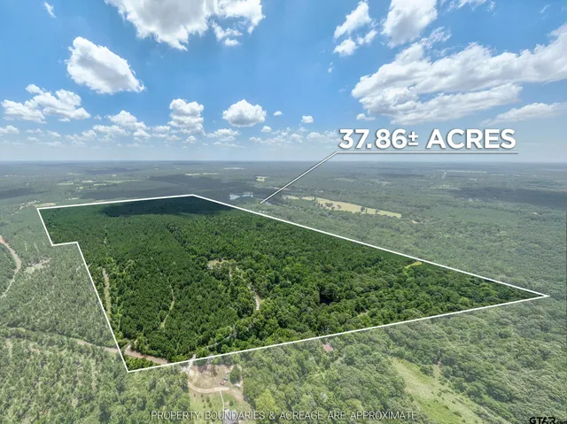 a view of a back yard