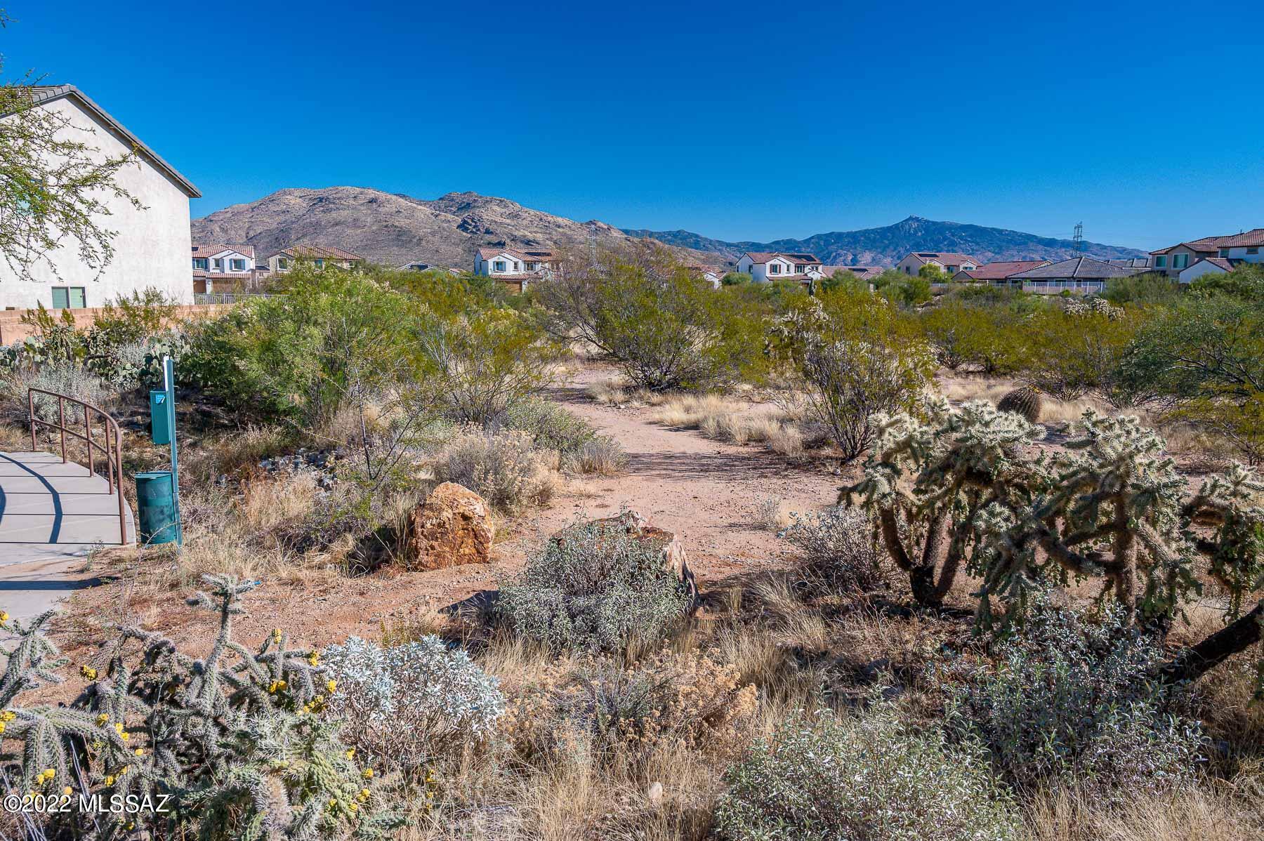 10804 East Salsabila Road Tucson, AZ 85747 - Photo 44 of 50 a view of a houses with a yard