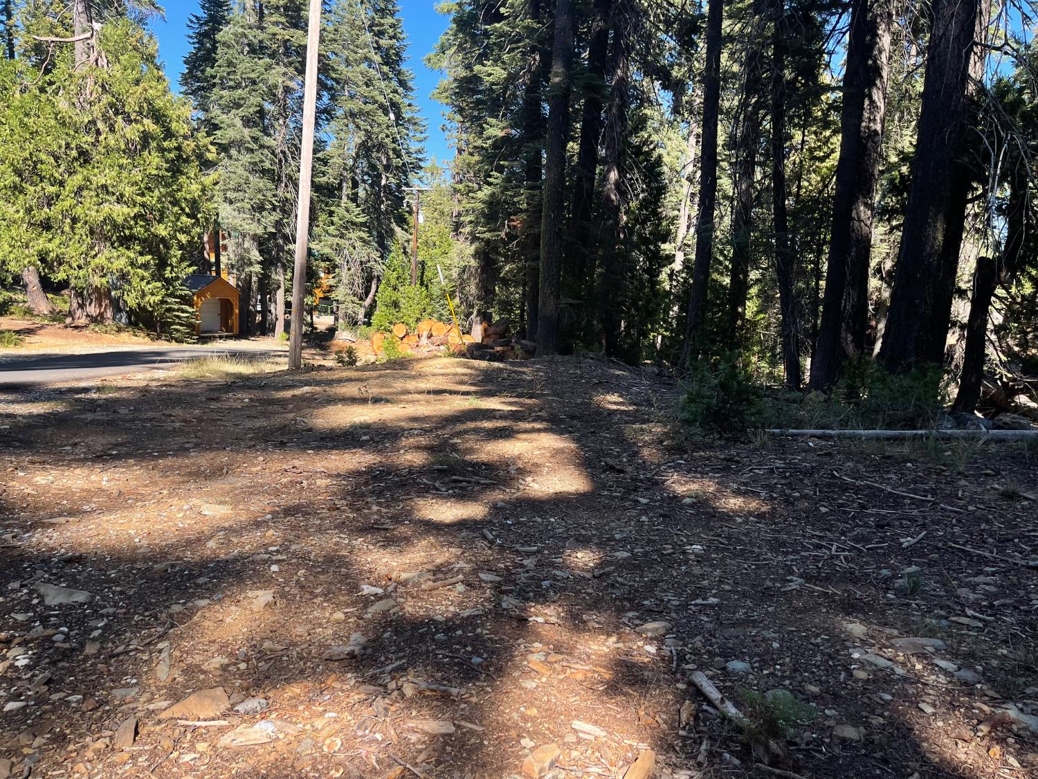 2870 Crestview Circle La Porte, CA 95981 - Photo 11 of 17 a view of road with trees