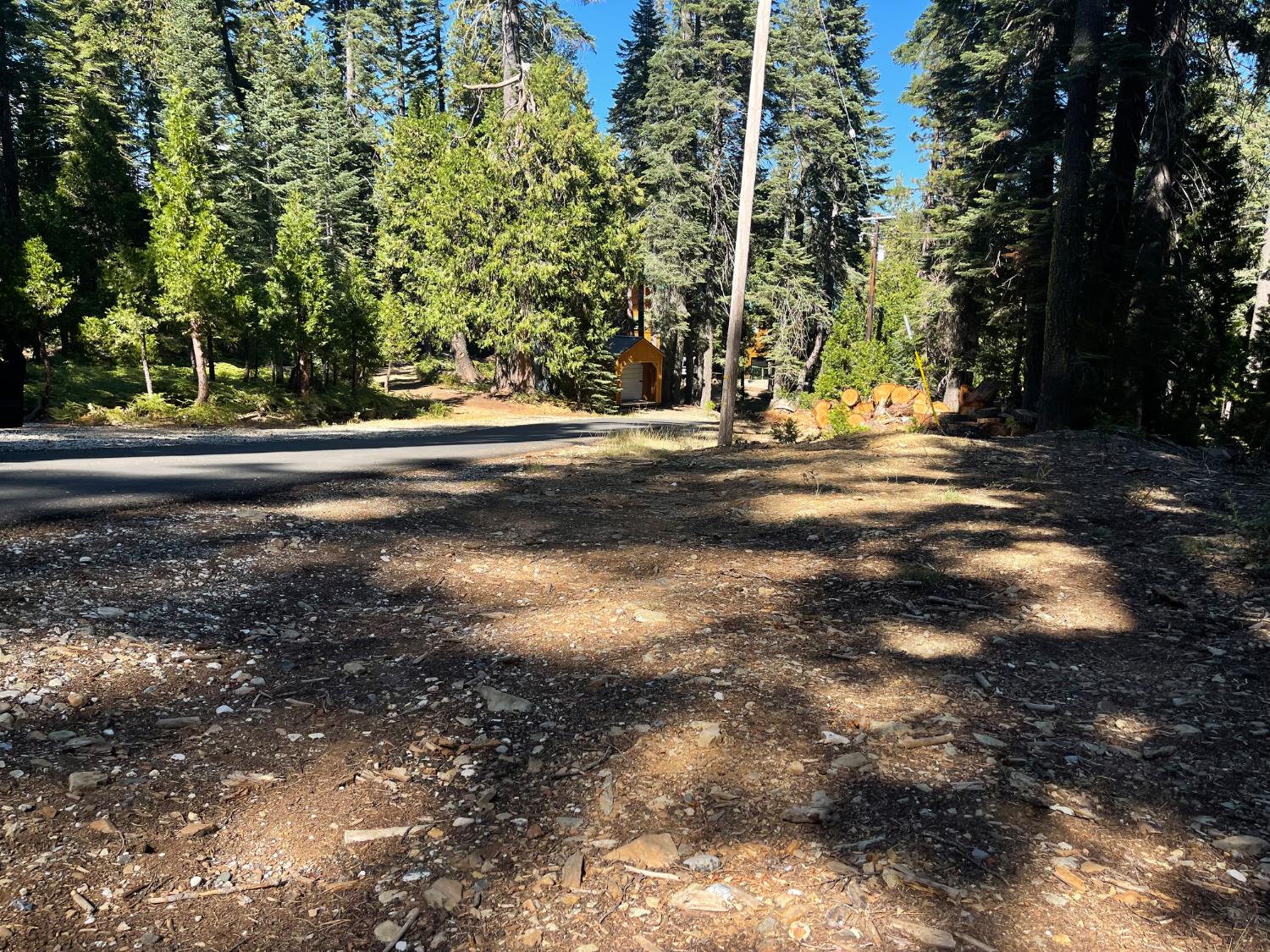 2870 Crestview Circle La Porte, CA 95981 - Photo 12 of 17 a view of a yard with plants and trees