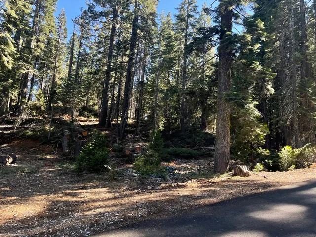 a view of tree with wooden fence