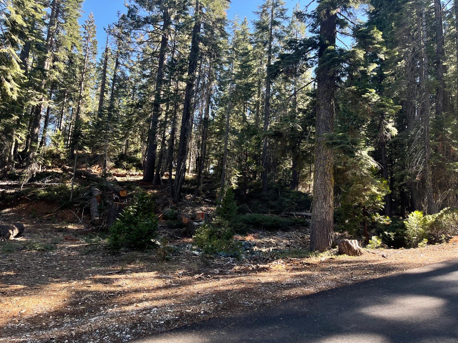 2870 Crestview Circle La Porte, CA 95981 - Photo 5 of 17 a view of a road with a tree