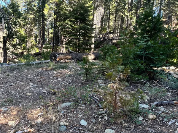 $34,500 | 2870 Crestview Circle, La Porte, CA 95981